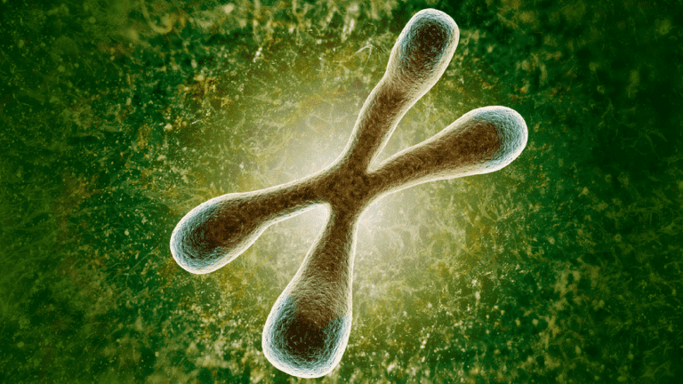 telomere length testing