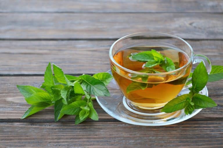 Appetite Suppressant Teas for Quick Weight Loss